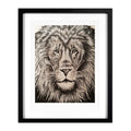 “Lion of Judah” A3 framed print